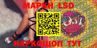 герыч Кингисепп