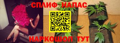 герыч Кингисепп