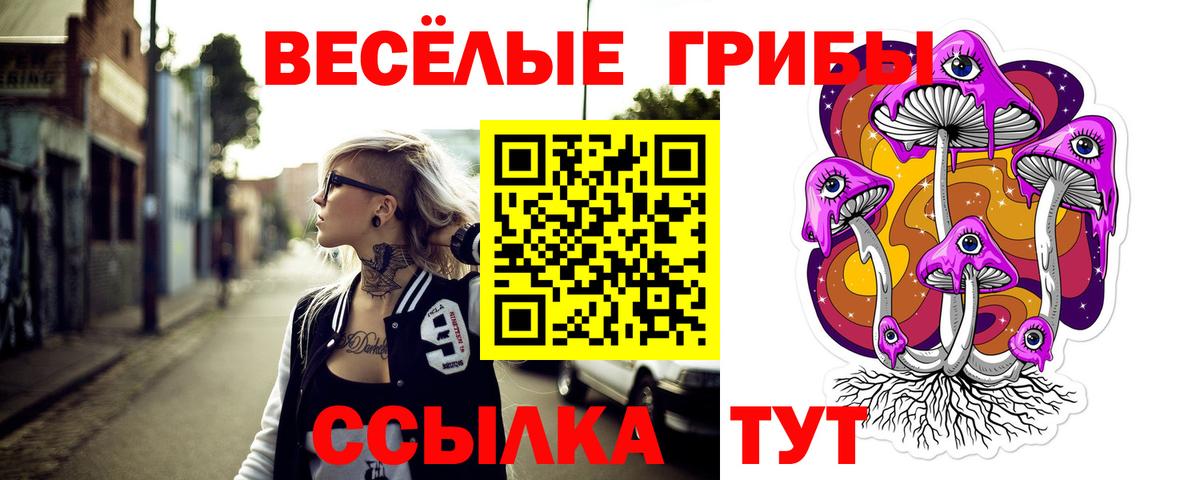 Псилоцибиновые грибы MAGIC MUSHROOMS  Вход с VPN  Псилоцибиновые грибы мицелий  Лениногорск 